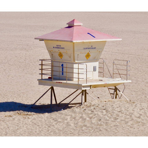 Pink Roof White Modern Wood Framed Art Print by Singleton, Ashley