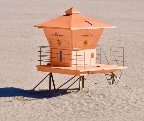 Orange Life Black Ornate Wood Framed Art Print with Double Matting by Singleton, Ashley