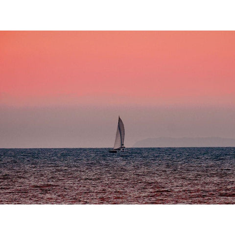 Sunset White Modern Wood Framed Art Print by Singleton, Ashley