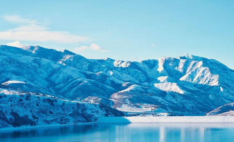 Winter Lake II Black Ornate Wood Framed Art Print with Double Matting by Singleton, Ashley