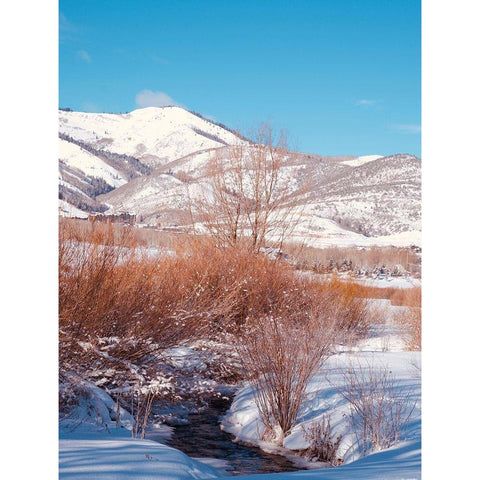 Winterscape Gold Ornate Wood Framed Art Print with Double Matting by Singleton, Ashley