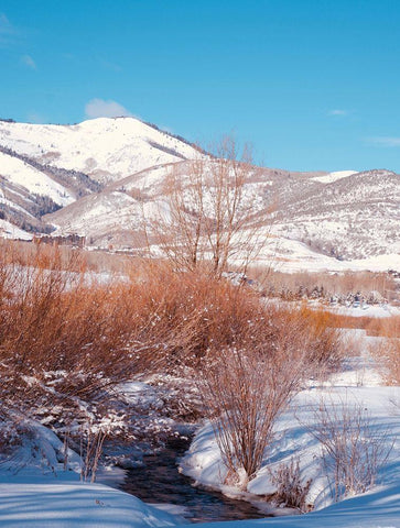 Winterscape White Modern Wood Framed Art Print with Double Matting by Singleton, Ashley