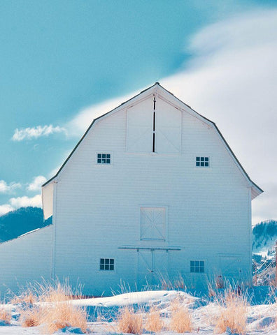 Winter Barn Black Ornate Wood Framed Art Print with Double Matting by Singleton, Ashley