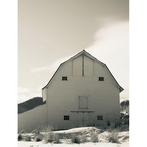 Winter Barn III Black Modern Wood Framed Art Print with Double Matting by Singleton, Ashley