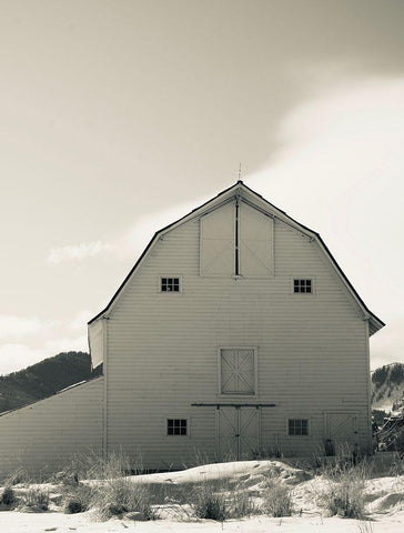 Winter Barn III Black Ornate Wood Framed Art Print with Double Matting by Singleton, Ashley