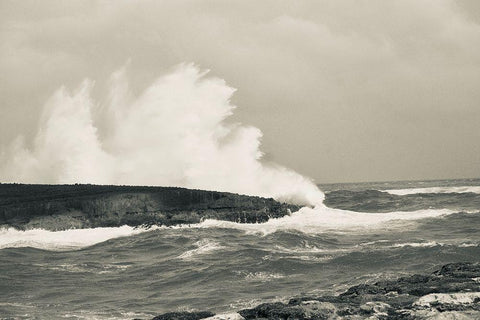 Splash Zone II Black Ornate Wood Framed Art Print with Double Matting by Singleton, Ashley