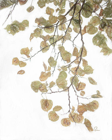 Aspen Leaves IV White Modern Wood Framed Art Print with Double Matting by Murdock, Ramona