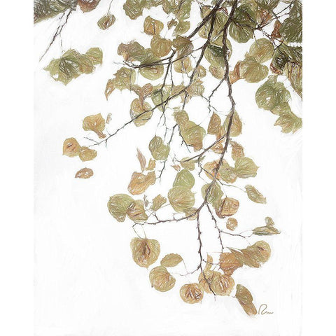 Aspen Leaves IV Gold Ornate Wood Framed Art Print with Double Matting by Murdock, Ramona