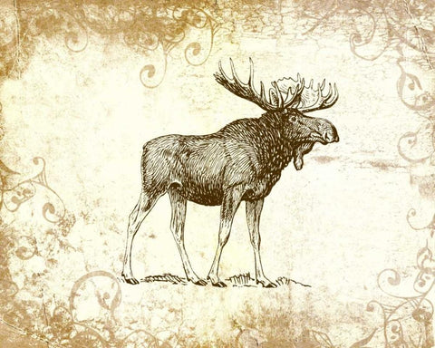 Brown Moose Black Ornate Wood Framed Art Print with Double Matting by Moss, Tara