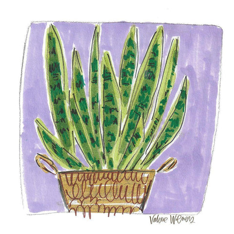 Snake Plant Black Modern Wood Framed Art Print with Double Matting by Wieners, Valerie