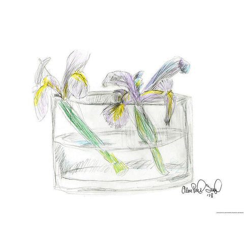 Flower II Black Modern Wood Framed Art Print with Double Matting by Yellow Cafe