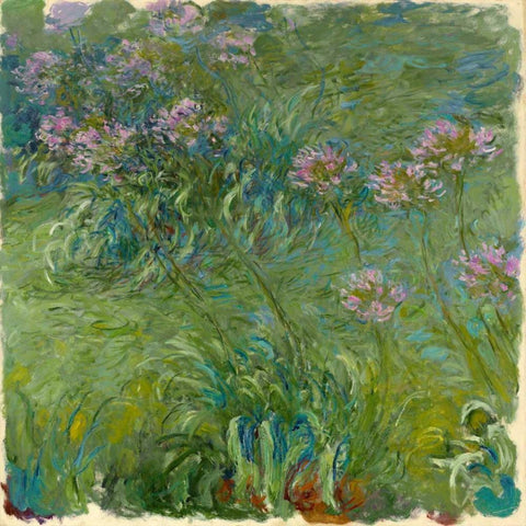 Agapanthe White Modern Wood Framed Art Print with Double Matting by Monet, Claude