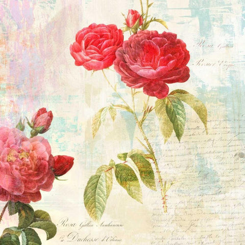 Redoutes Roses 2.0 - IIÂ Black Modern Wood Framed Art Print with Double Matting by Chestier, Eric