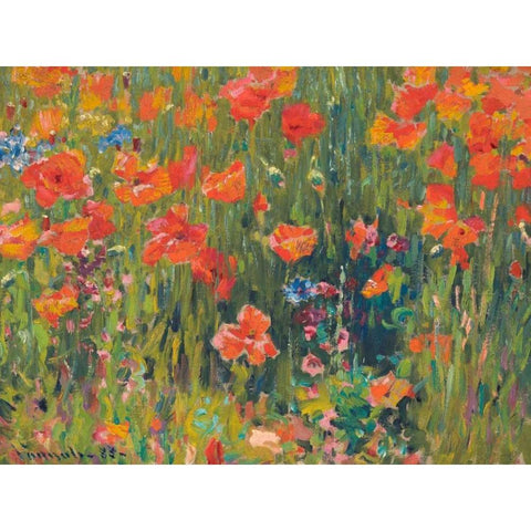 Poppies White Modern Wood Framed Art Print by Vonnoh, Robert William