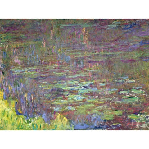Detail of Waterlilies at Sunset Black Modern Wood Framed Art Print with Double Matting by Monet, Claude