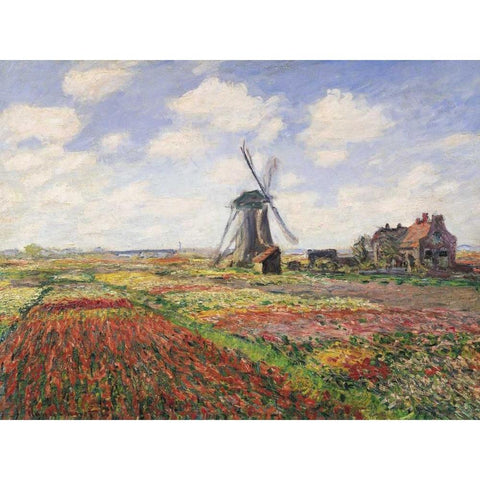 Tulip Fields with Windmill White Modern Wood Framed Art Print by Monet, Claude