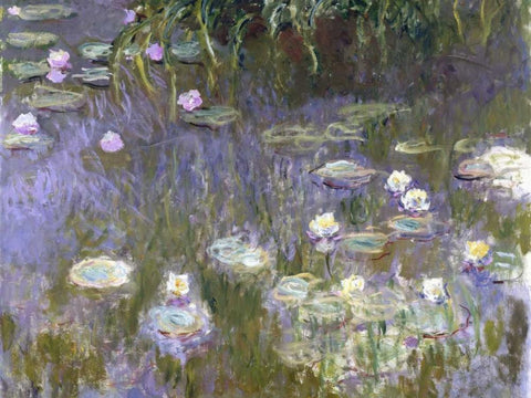Water Lilies White Modern Wood Framed Art Print with Double Matting by Monet, Claude