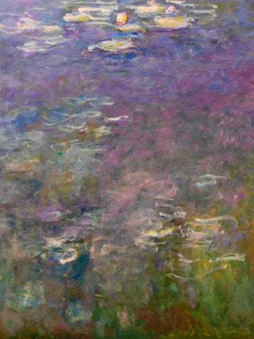 Water Lilies III White Modern Wood Framed Art Print with Double Matting by Monet, Claude