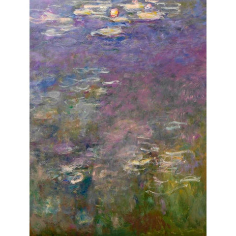 Water Lilies III White Modern Wood Framed Art Print by Monet, Claude