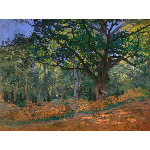 The Bodmer Oak Fontainebleau Forest Black Modern Wood Framed Art Print with Double Matting by Monet, Claude