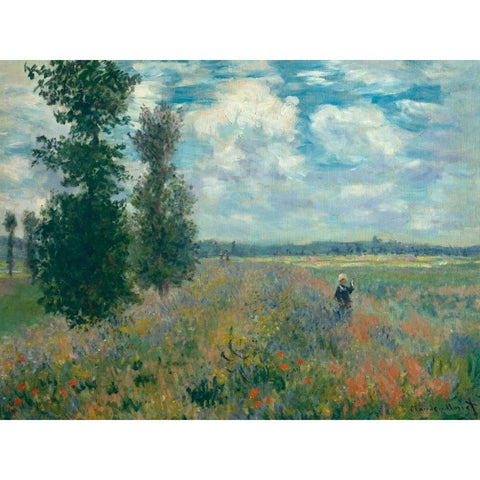 Poppy Fields near Argenteuil White Modern Wood Framed Art Print by Monet, Claude