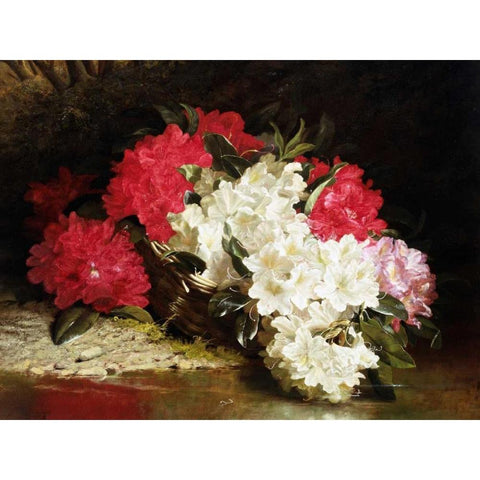 Azaleas White Modern Wood Framed Art Print by Fitz Marshall, John