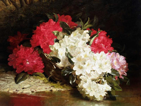 Azaleas White Modern Wood Framed Art Print with Double Matting by Fitz Marshall, John