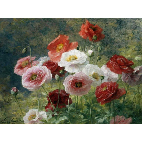 Poppies White Modern Wood Framed Art Print by Lemaire, Louis Marie