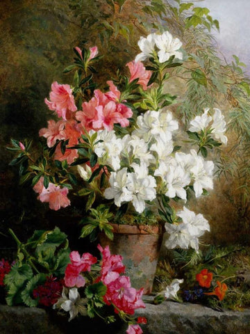 Still Life of Azaleas White Modern Wood Framed Art Print with Double Matting by Feray Mutrie, Annie
