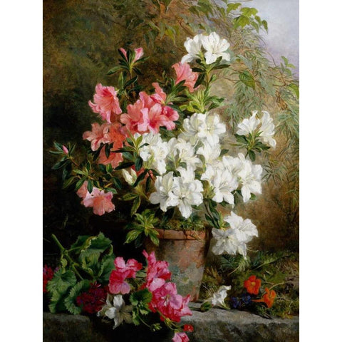 Still Life of Azaleas White Modern Wood Framed Art Print by Feray Mutrie, Annie