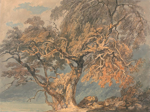 A Great Tree White Modern Wood Framed Art Print with Double Matting by Turner, William