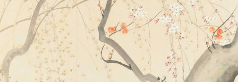 Flowers of the Four Seasons  White Modern Wood Framed Art Print with Double Matting by Anonymous