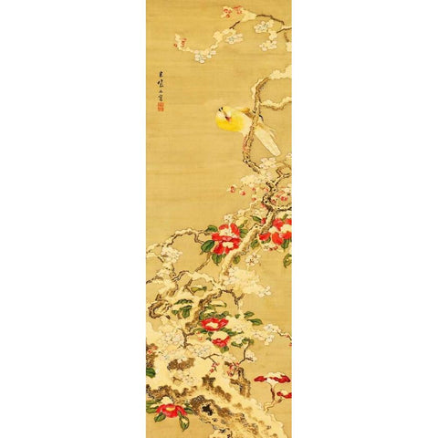 Bird among Camellias in Snow  Black Modern Wood Framed Art Print with Double Matting by Anonymous