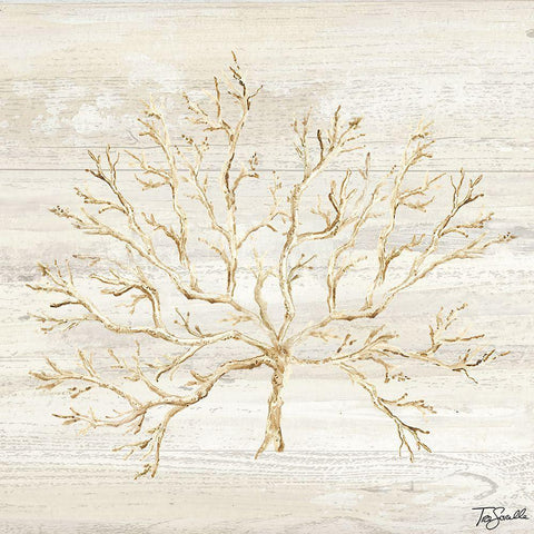 Calm Shores IV Black Ornate Wood Framed Art Print with Double Matting by Tre Sorelle Studios