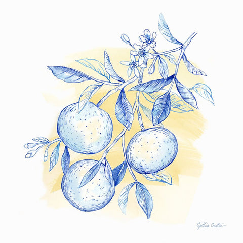 Mediterranean Breezes V White Modern Wood Framed Art Print with Double Matting by Coulter, Cynthia