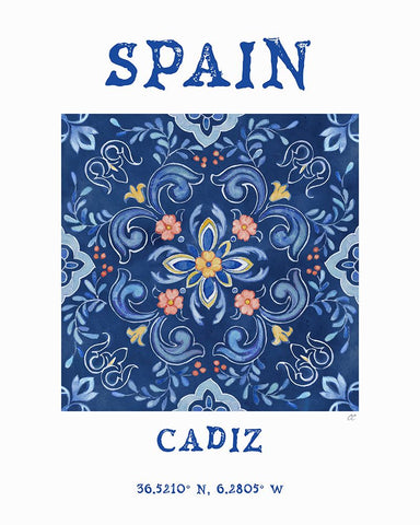 Mediterranean Breezes XVII White Modern Wood Framed Art Print with Double Matting by Coulter, Cynthia