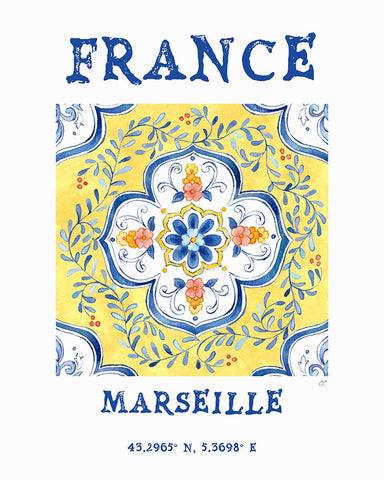 Mediterranean Breezes XIX Black Ornate Wood Framed Art Print with Double Matting by Coulter, Cynthia