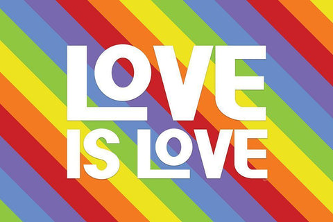 Pride Gnomes XV White Modern Wood Framed Art Print with Double Matting by Reed, Tara