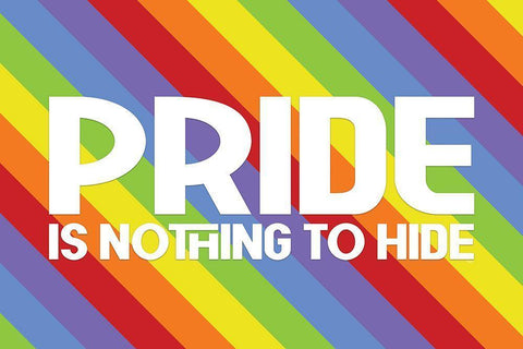 Pride Gnomes XVI White Modern Wood Framed Art Print with Double Matting by Reed, Tara