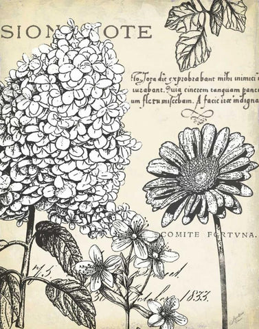 Pen and Ink Floral Study II White Modern Wood Framed Art Print with Double Matting by Cusson, Marie Elaine