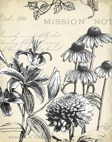 Pen and Ink Floral Study III White Modern Wood Framed Art Print with Double Matting by Cusson, Marie Elaine