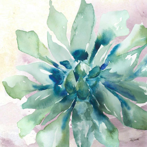 Succulent Watercolor III White Modern Wood Framed Art Print with Double Matting by Tre Sorelle Studios