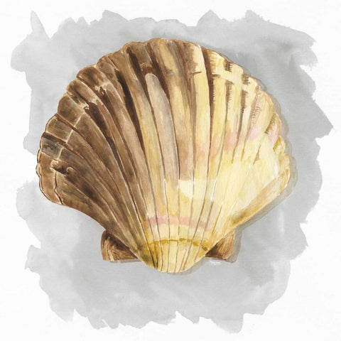 Shells on Grey V Black Modern Wood Framed Art Print by Reed, Tara