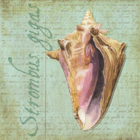 Oceanum Shells Green I White Modern Wood Framed Art Print by Reed, Tara