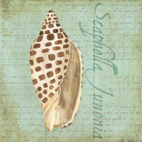 Oceanum Shells Green II White Modern Wood Framed Art Print by Reed, Tara