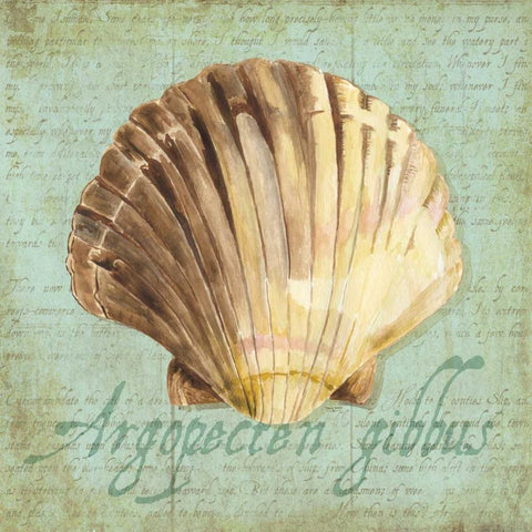 Oceanum Shells Green V White Modern Wood Framed Art Print by Reed, Tara