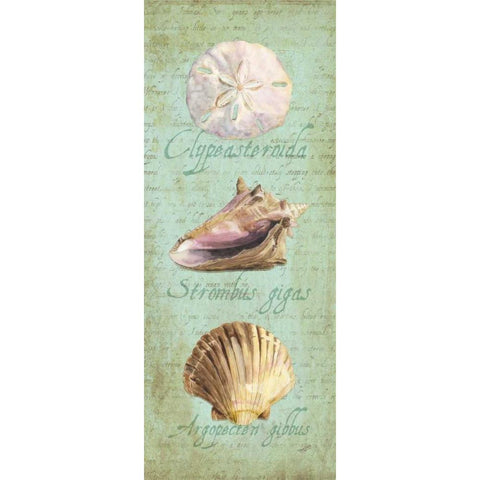 Oceanum Shell Panel Green I White Modern Wood Framed Art Print by Reed, Tara
