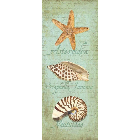 Oceanum Shell Panel Green II White Modern Wood Framed Art Print by Reed, Tara