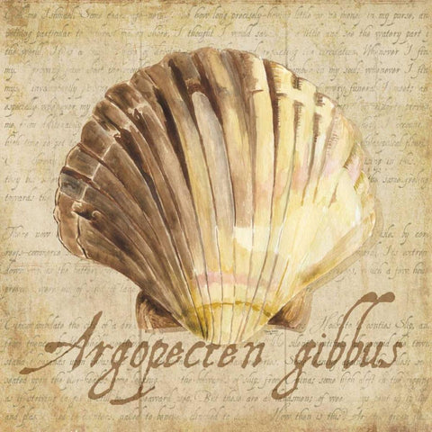 Oceanum Shells Beige V White Modern Wood Framed Art Print by Reed, Tara