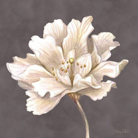 Cream Willow Blossom I White Modern Wood Framed Art Print by Wilson, Kelsey